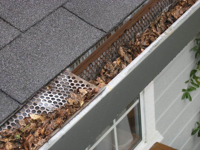 Safeguarding Your Home: A Comprehensive Guide to Identifying and Resolving Common Gutter Issues